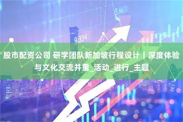 股市配资公司 研学团队新加坡行程设计｜深度体验与文化交流并重_活动_进行_主题