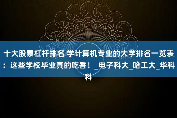 十大股票杠杆排名 学计算机专业的大学排名一览表：这些学校毕业真的吃香！_电子科大_哈工大_华科