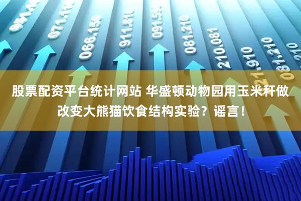 股票配资平台统计网站 华盛顿动物园用玉米秆做改变大熊猫饮食结构实验？谣言！