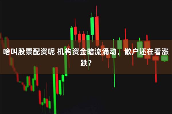 啥叫股票配资呢 机构资金暗流涌动，散户还在看涨跌？